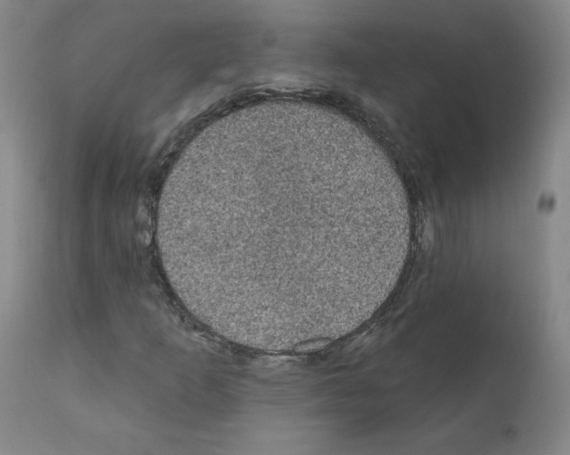 X0000110941253200907311008