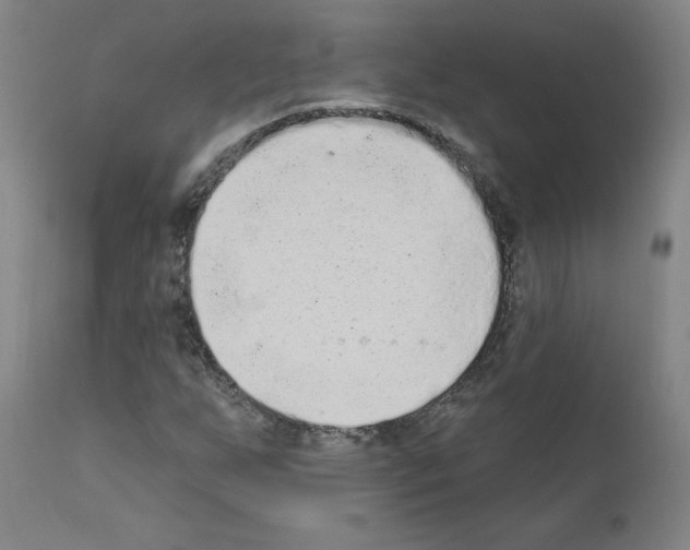 X0000110941255200907311008