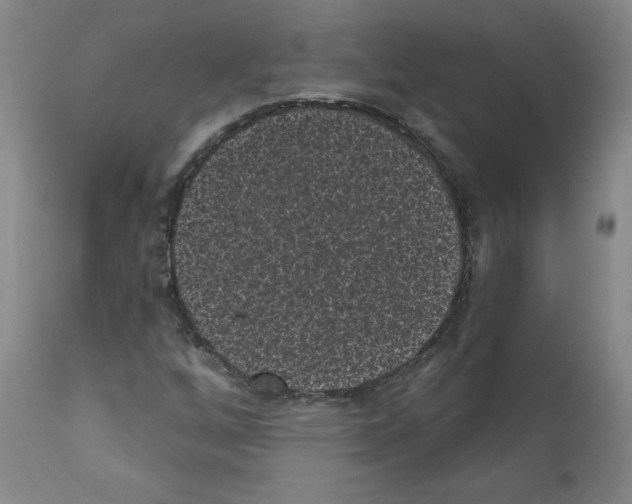 X0000110941256200907311008