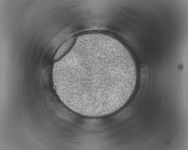 X0000110941257200907311008
