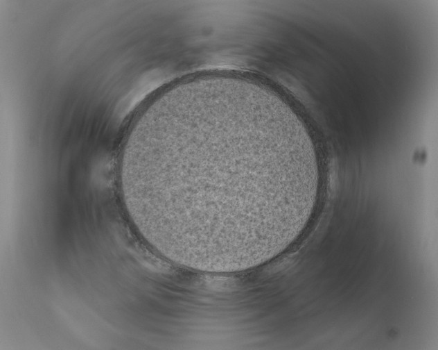 X0000110941258200907311008