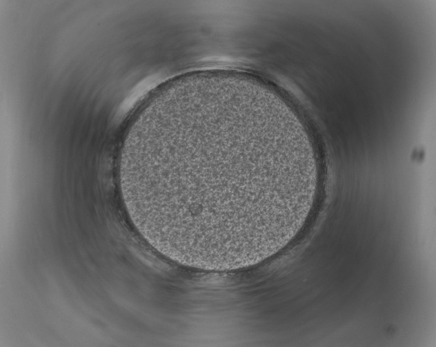 X0000110941259200907311008