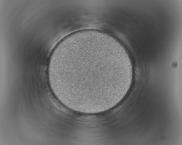 X0000110941260200907311008