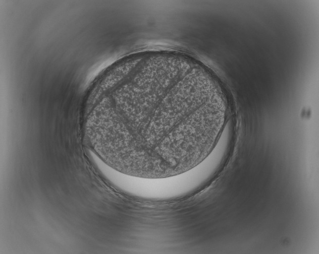 X0000110941261200907311008