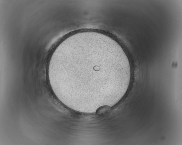 X0000110941262200907311008