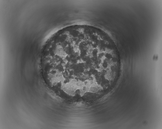 X0000110941263200907311008