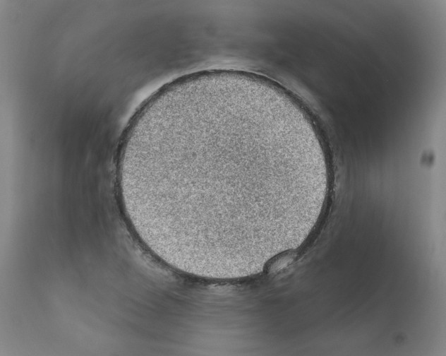 X0000110941264200907311008