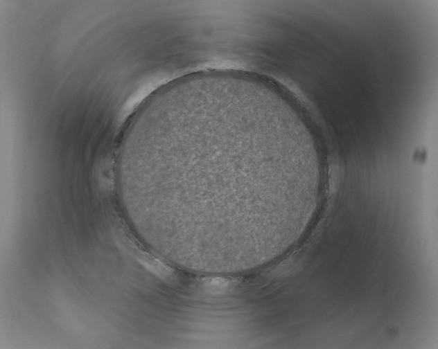 X0000110941266200907311008