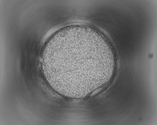 X0000110941267200907311008