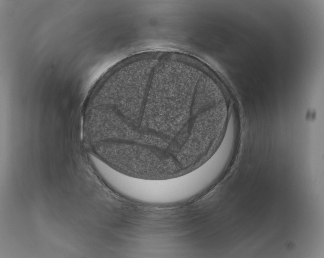 X0000110941269200907311008