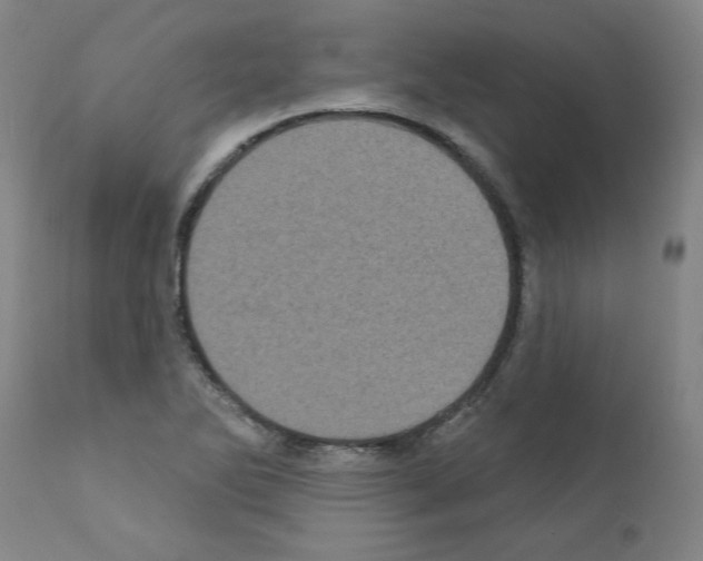 X0000110941270200907311008