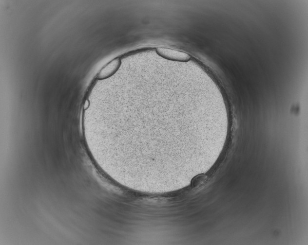 X0000110941272200907311008