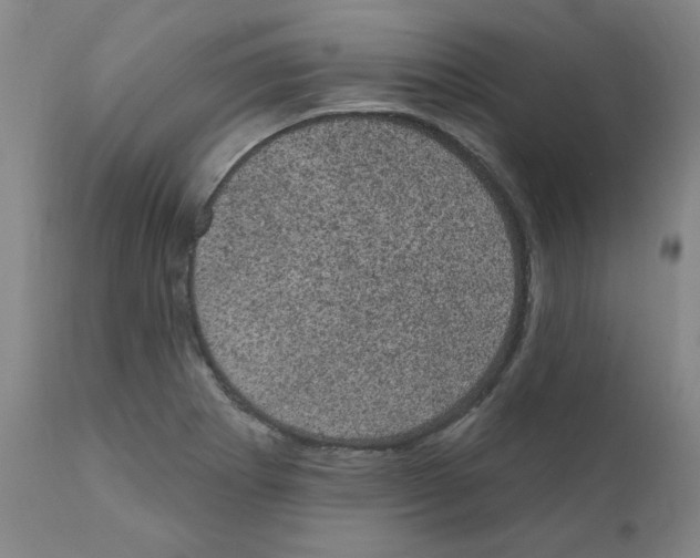X0000110941273200907311008