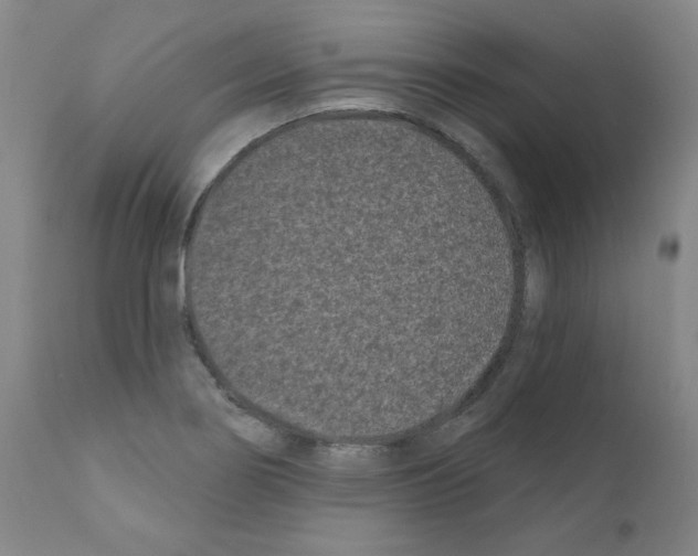 X0000110941274200907311008