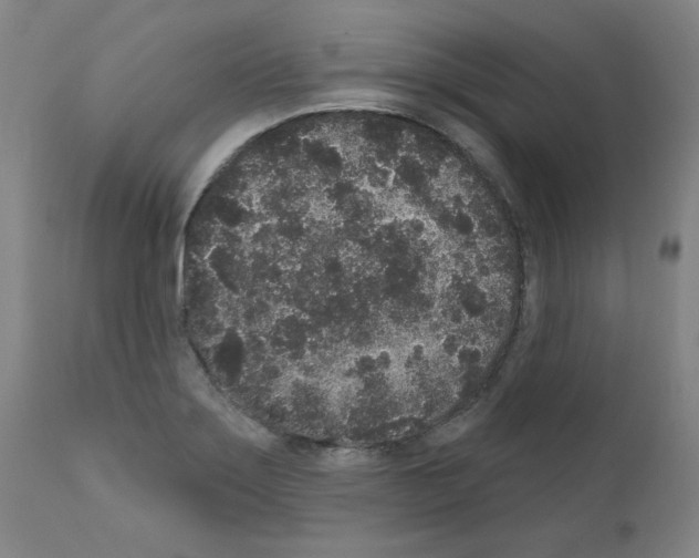 X0000110941275200907311008