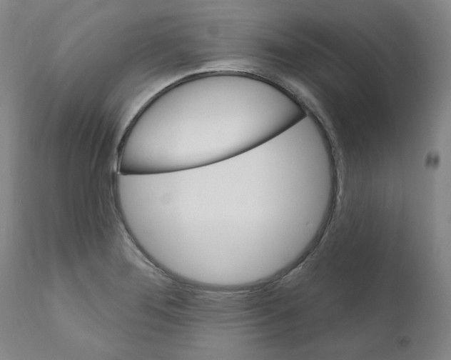 X0000110941276200907311008