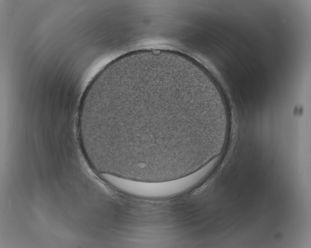 X0000110941277200907311008