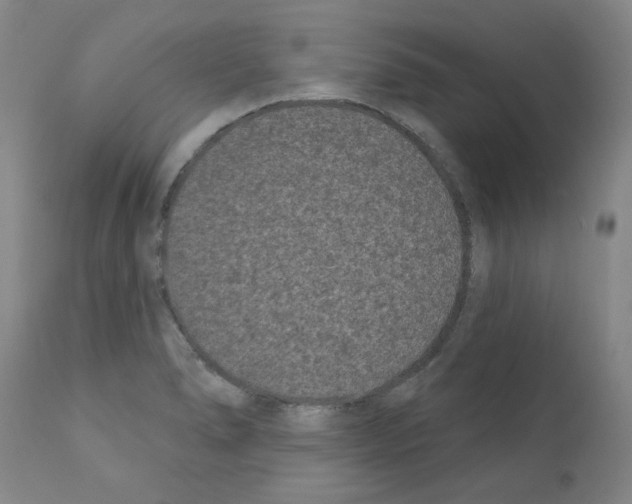 X0000110941278200907311008