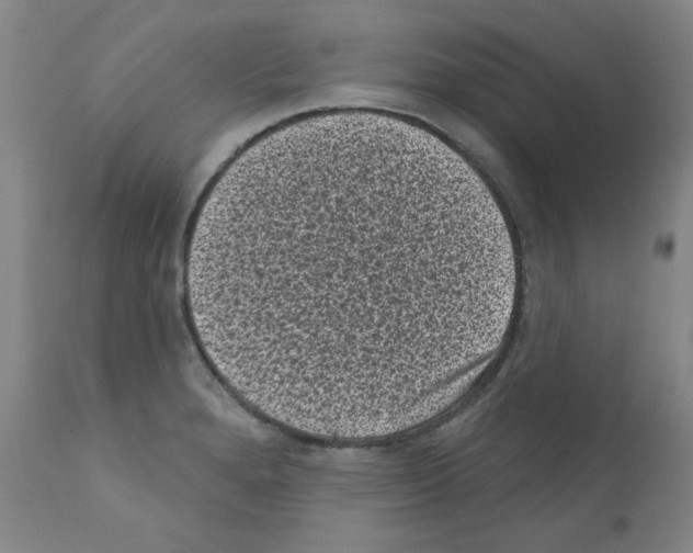X0000110941280200907311008