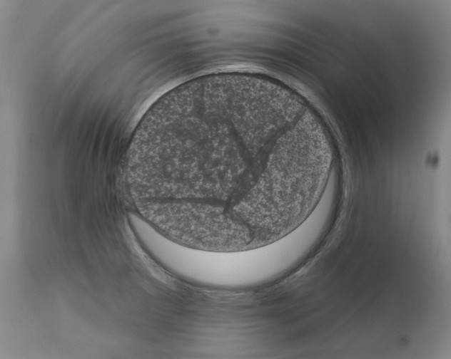X0000110941281200907311008