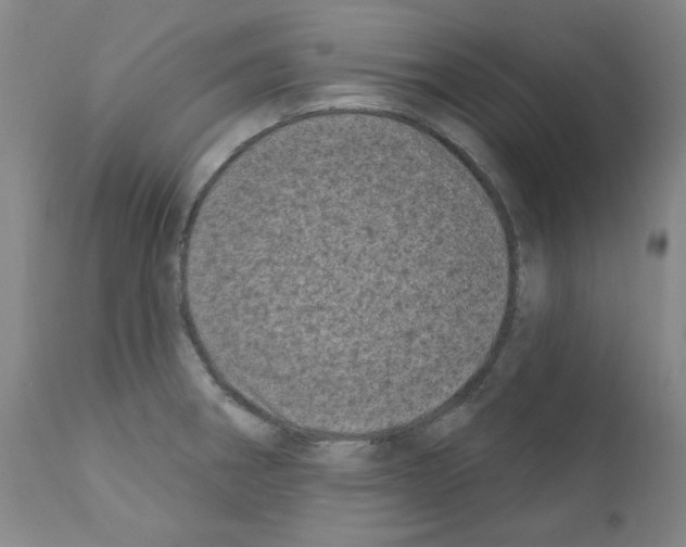 X0000110941282200907311008