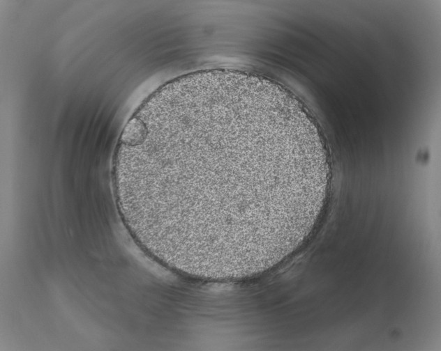 X0000110941283200907311008
