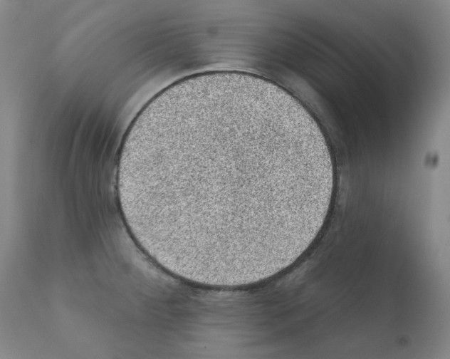 X0000110941284200907311008