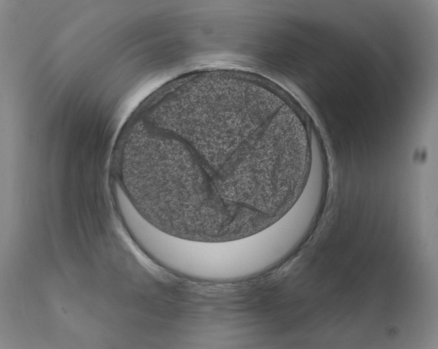 X0000110941285200907311008