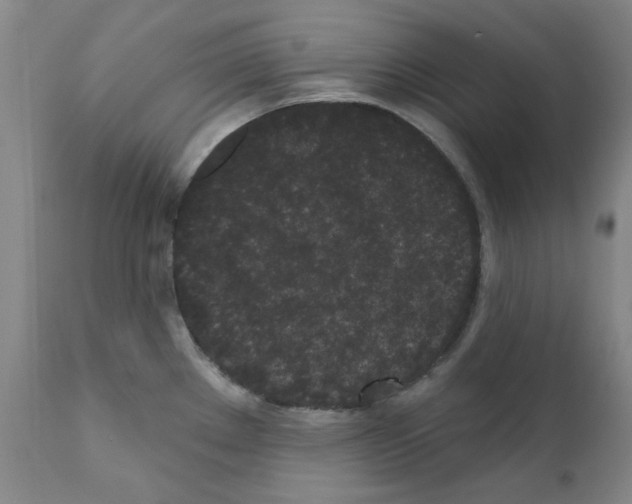 X0000110941289200907311008