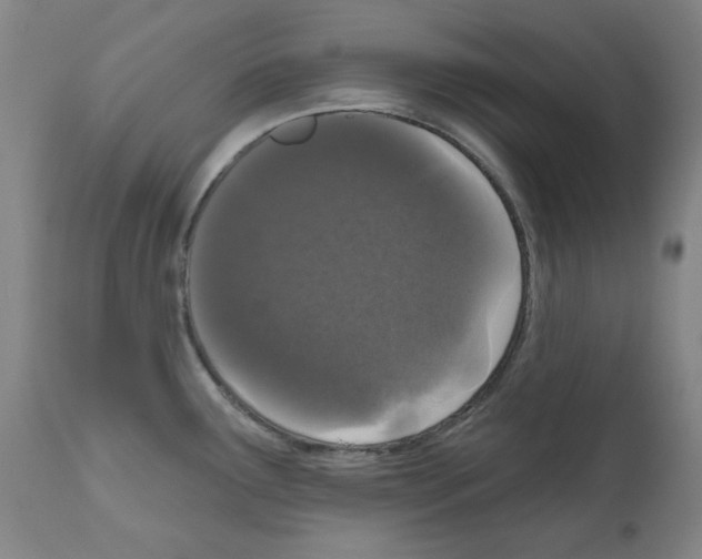 X0000110941291200907311008