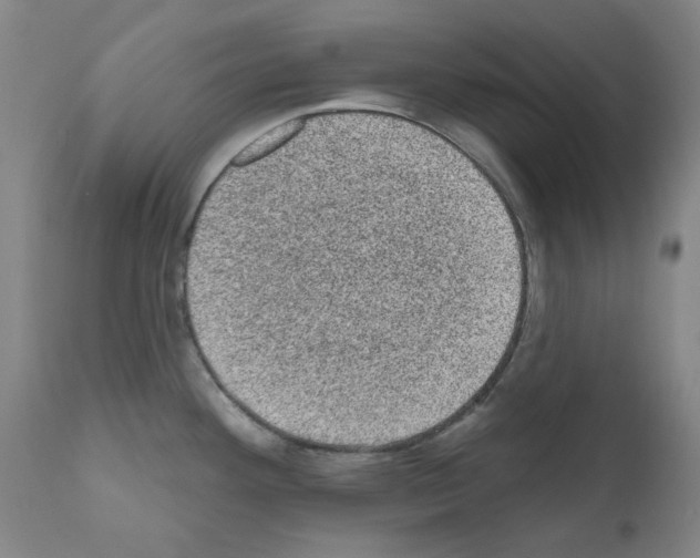 X0000110941292200907311008