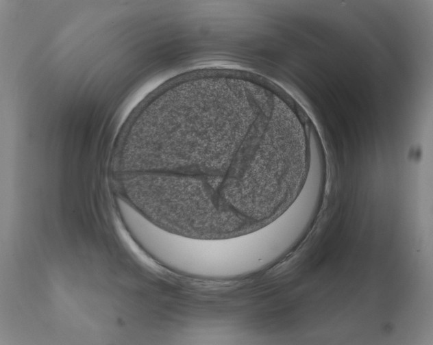 X0000110941293200907311008