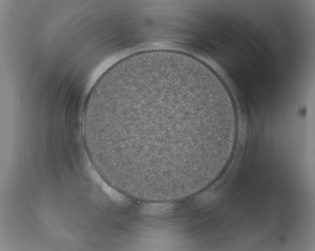 X0000110941294200907311008