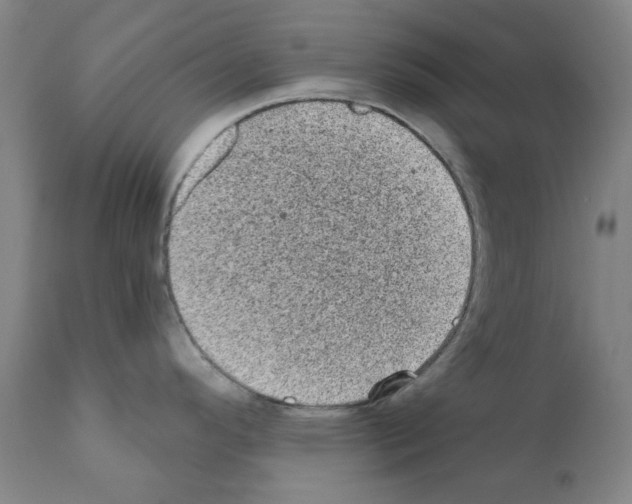 X0000110941296200907311008