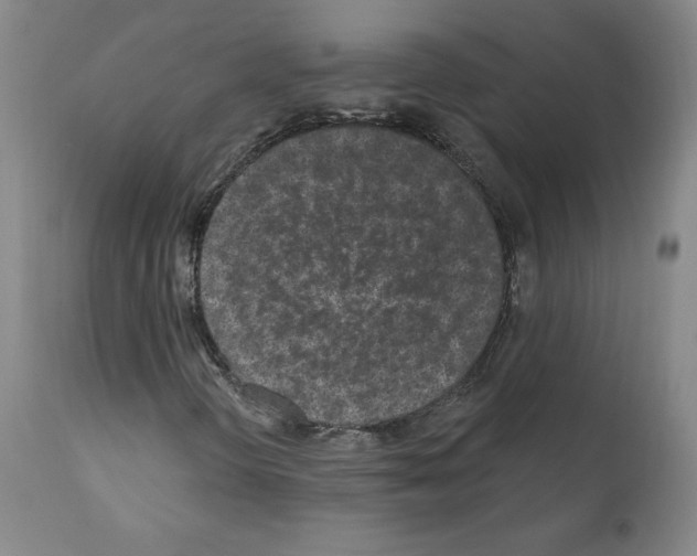 X0000110941298200907311007