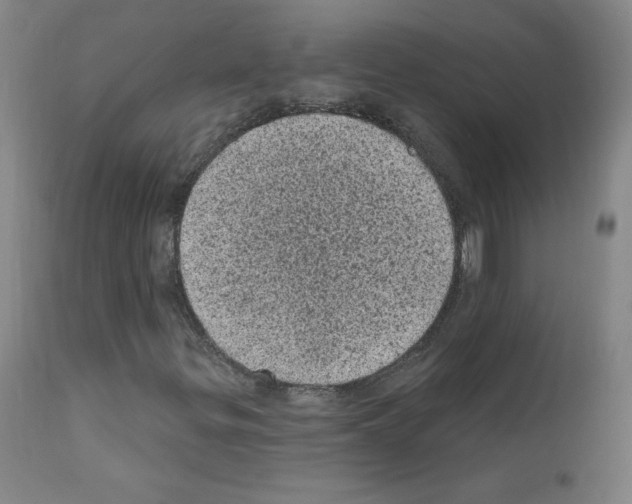 X0000110941299200907311007
