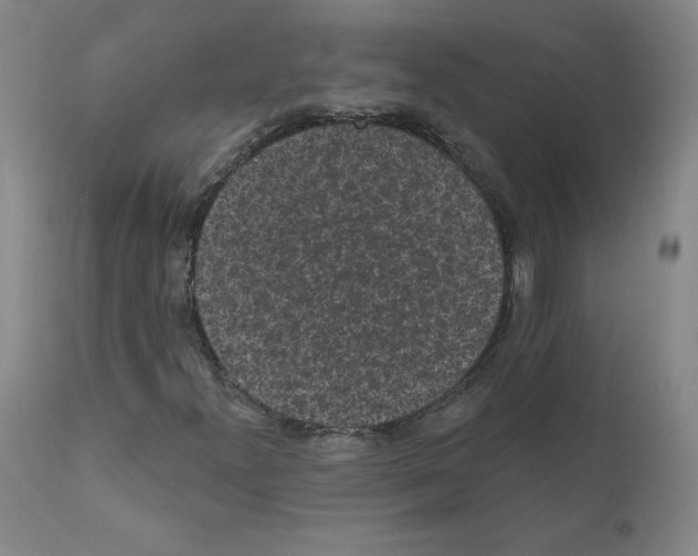 X0000110941300200907311007