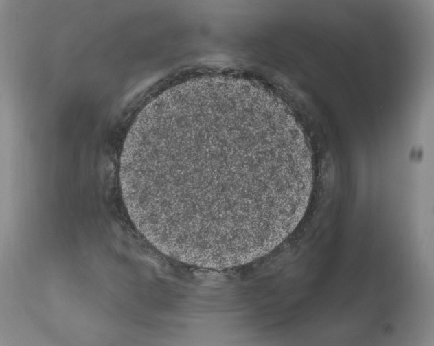 X0000110941302200907311007