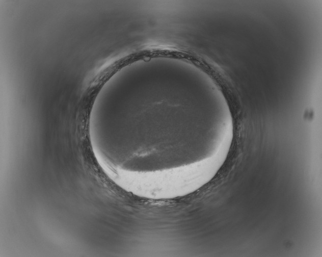 X0000110941303200907311007