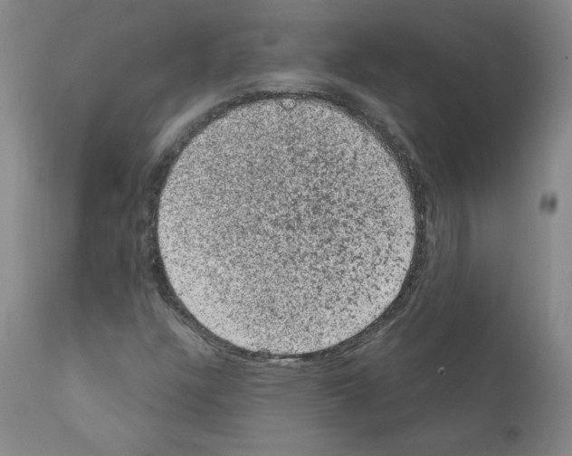 X0000110941304200907311007