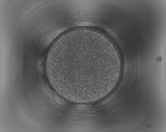 X0000110941305200907311007
