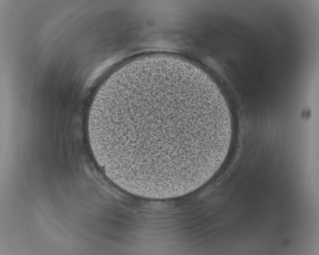 X0000110941307200907311007