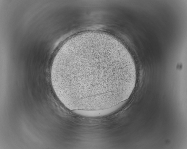 X0000110941308200907311007