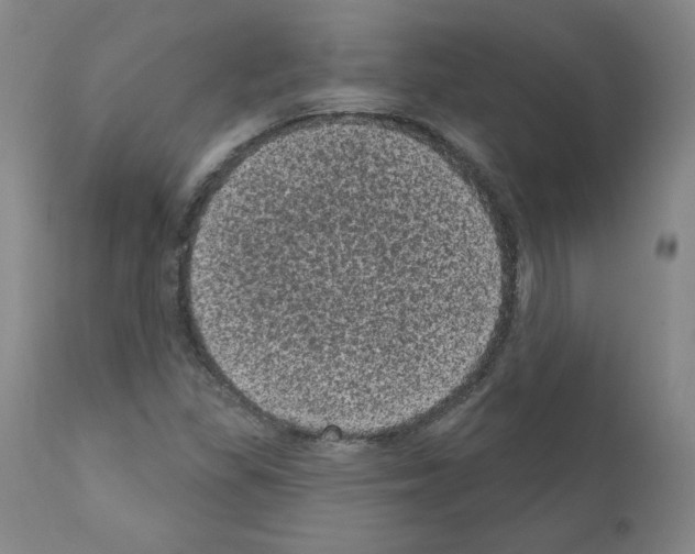 X0000110941309200907311007