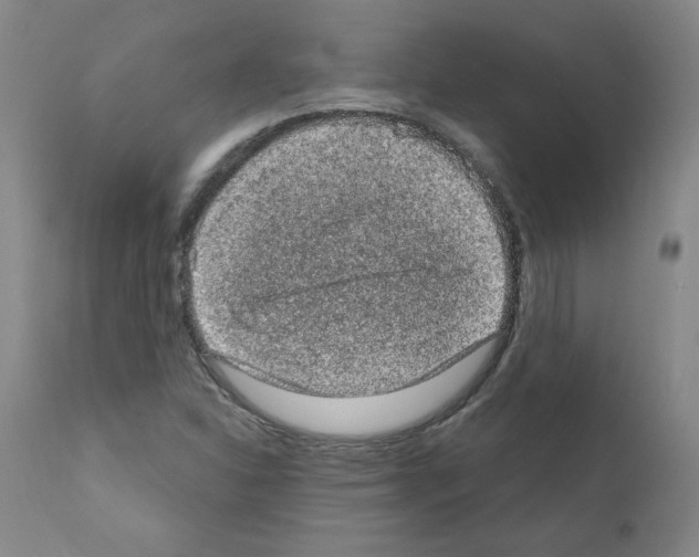 X0000110941310200907311007