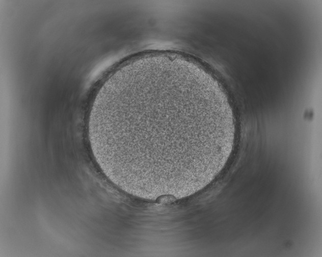 X0000110941311200907311007
