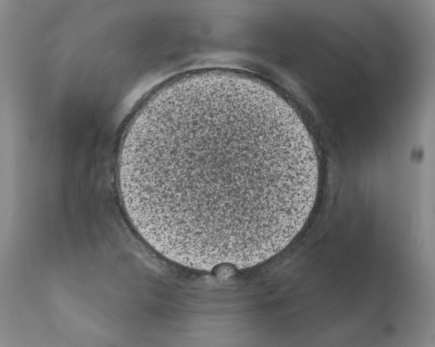 X0000110941312200907311007