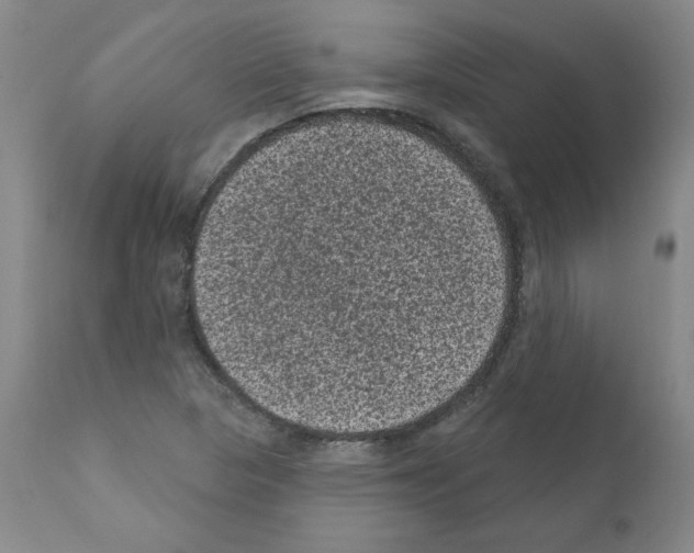 X0000110941313200907311007