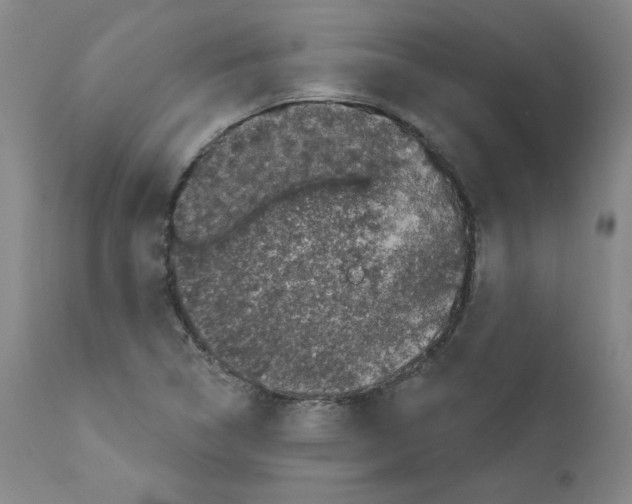 X0000110941314200907311007