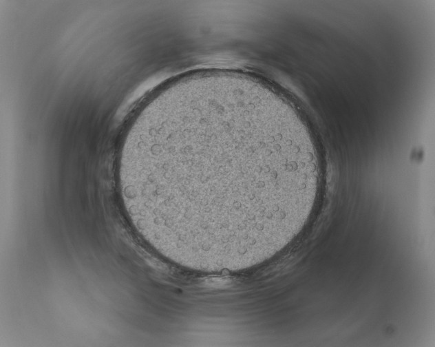 X0000110941315200907311007